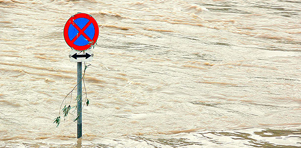 ����: GLOBAL LOOK press/CHROMORANGE / Bilderbox