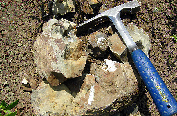 ����: wikipedia.org