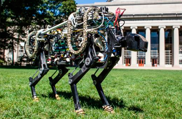 ����: mit.edu