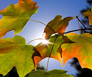 Фото: sxc.hu