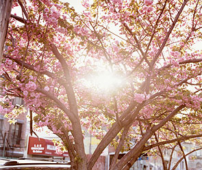 Фото: sxc.hu