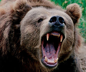 Фото: Getty Images/Fotobank.ru