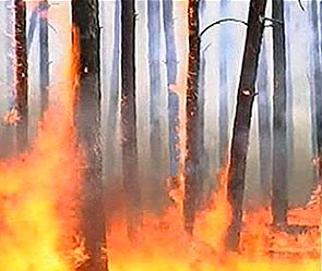 Фото: 1tv.ru