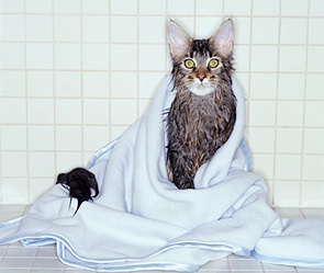 Фото: Getty Images/Fotobank.ru 