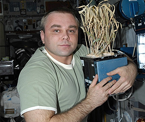 ������ ������. ����: roscosmos.ru