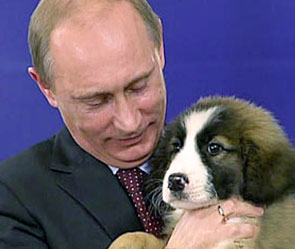 �������� �����.����:vesti.ru