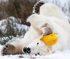 : Getty Images/Fotobank.ru