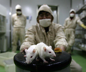 : Getty Images/Fotobank.ru