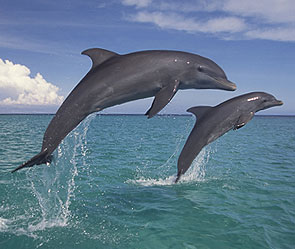 Фото: GLOBAL LOOK press