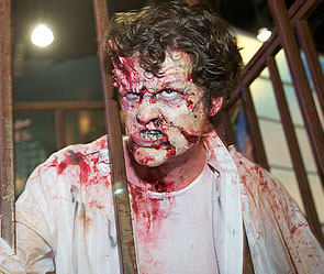 Фото: GLOBAL LOOK Press