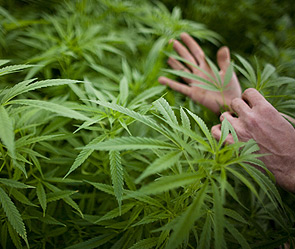 Фото: Getty Images/Fotobank.ru