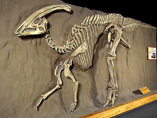 Челябинский метеорит раскрыл тайну динозавров