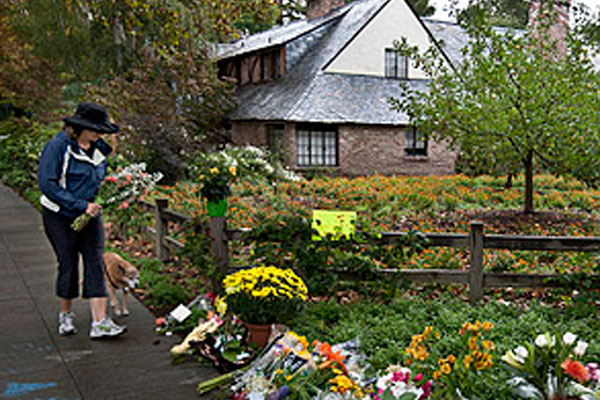 ����: GLOBAL LOOK press