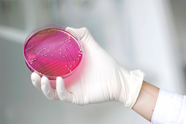 Фото: GLOBAL LOOK press/imago stock&people