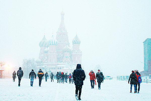 В Москве за сутки выпало до 7 см снега