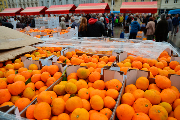 Анкара продает Москве зараженные мандарины