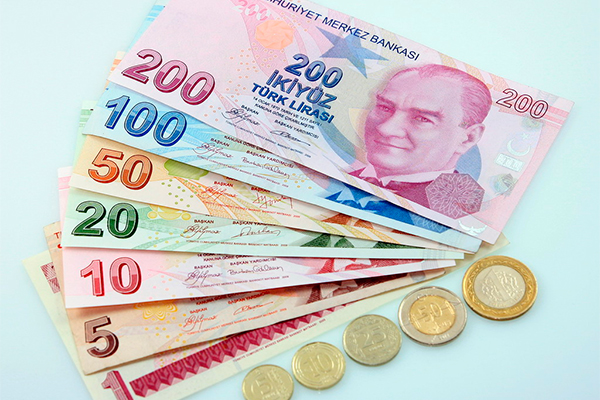 Лира пугает экономистов сильнее рубля