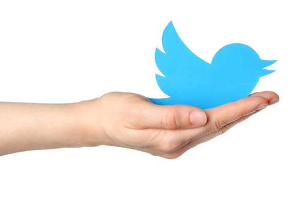 Twitter открыл бизнесу новые функции
