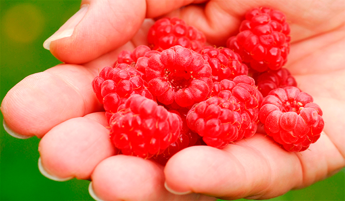 5 продуктов для профилактики рака груди