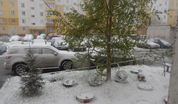 Россияне шокированы снегом в начале лета