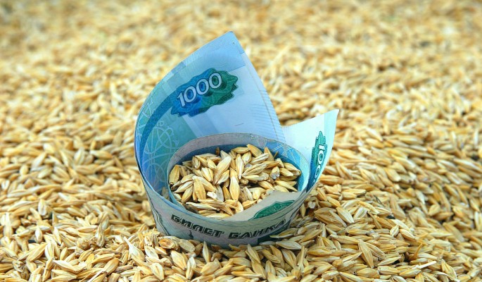 Скрынник: Выручка России от экспорта зерна может заметно вырасти