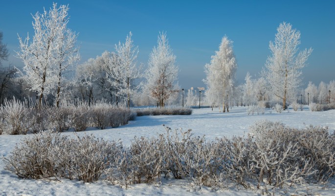 В Новый год Москву накроет 30-градусный мороз