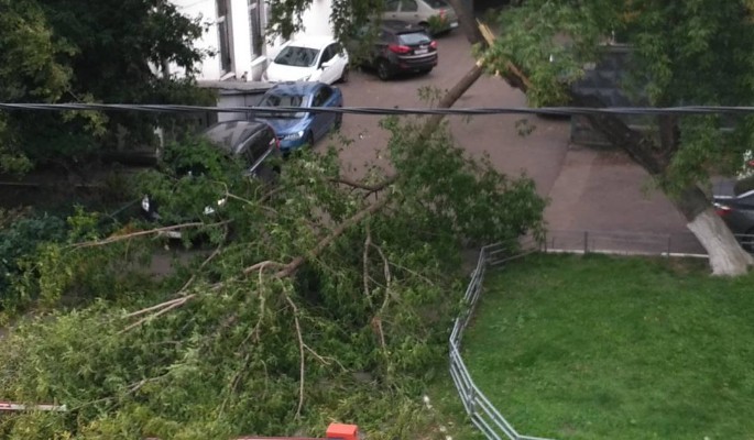 Ураган в Москве повалил деревья и ранил людей