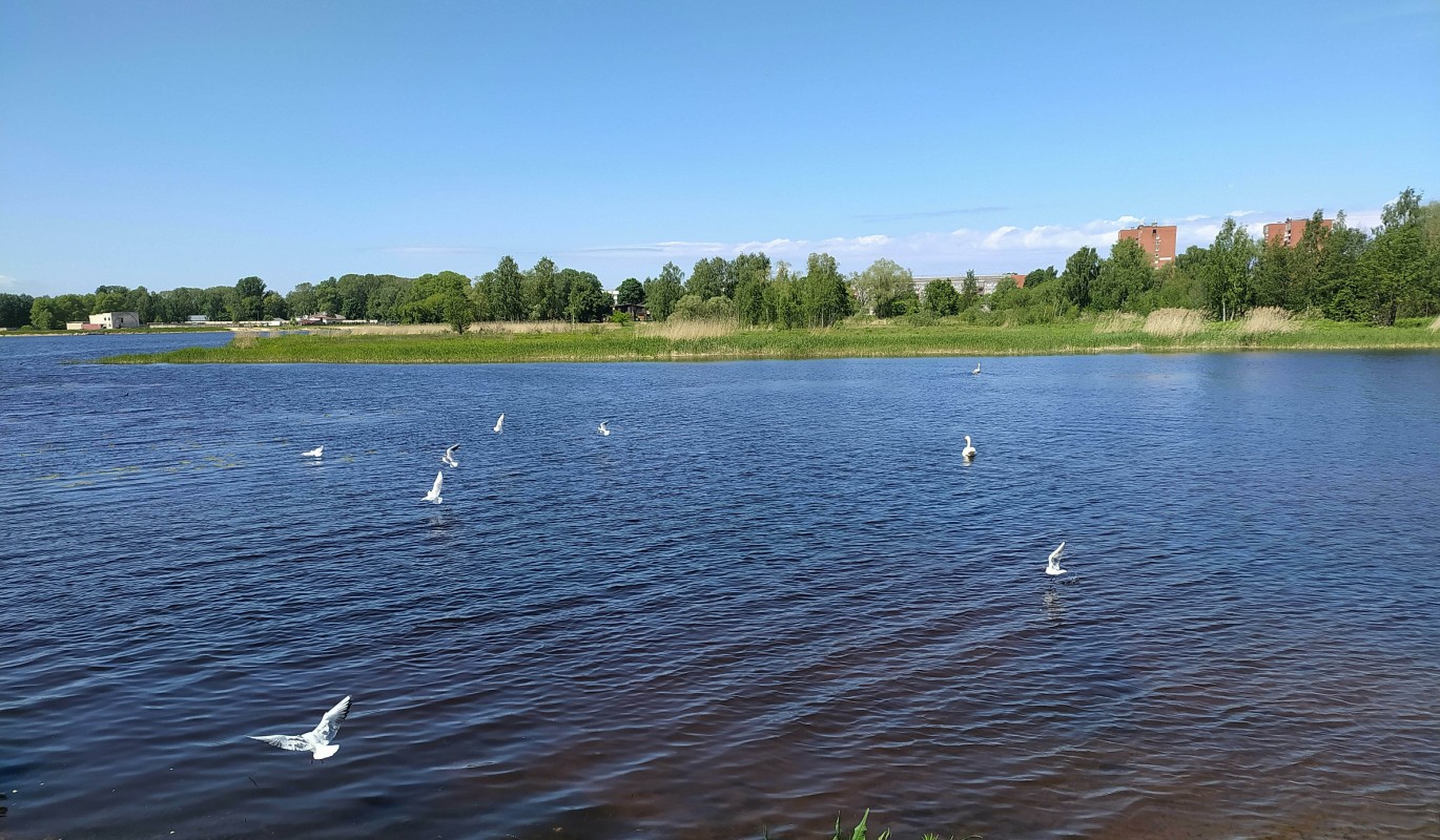 Карловское водохранилище фото