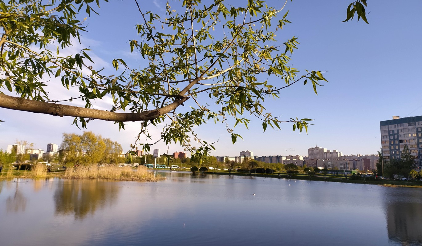 Как быстро и дорого сдать квартиру в аренду :: Недвижимость :: Дни.ру