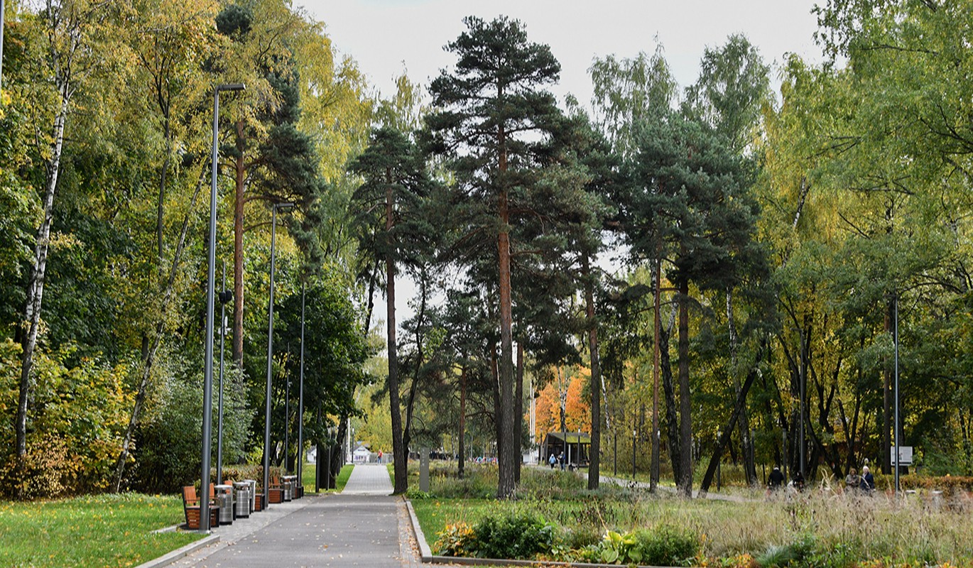 Предприниматели смогут организовать площадку для мероприятий в парке «Кузьминки-Люблино»