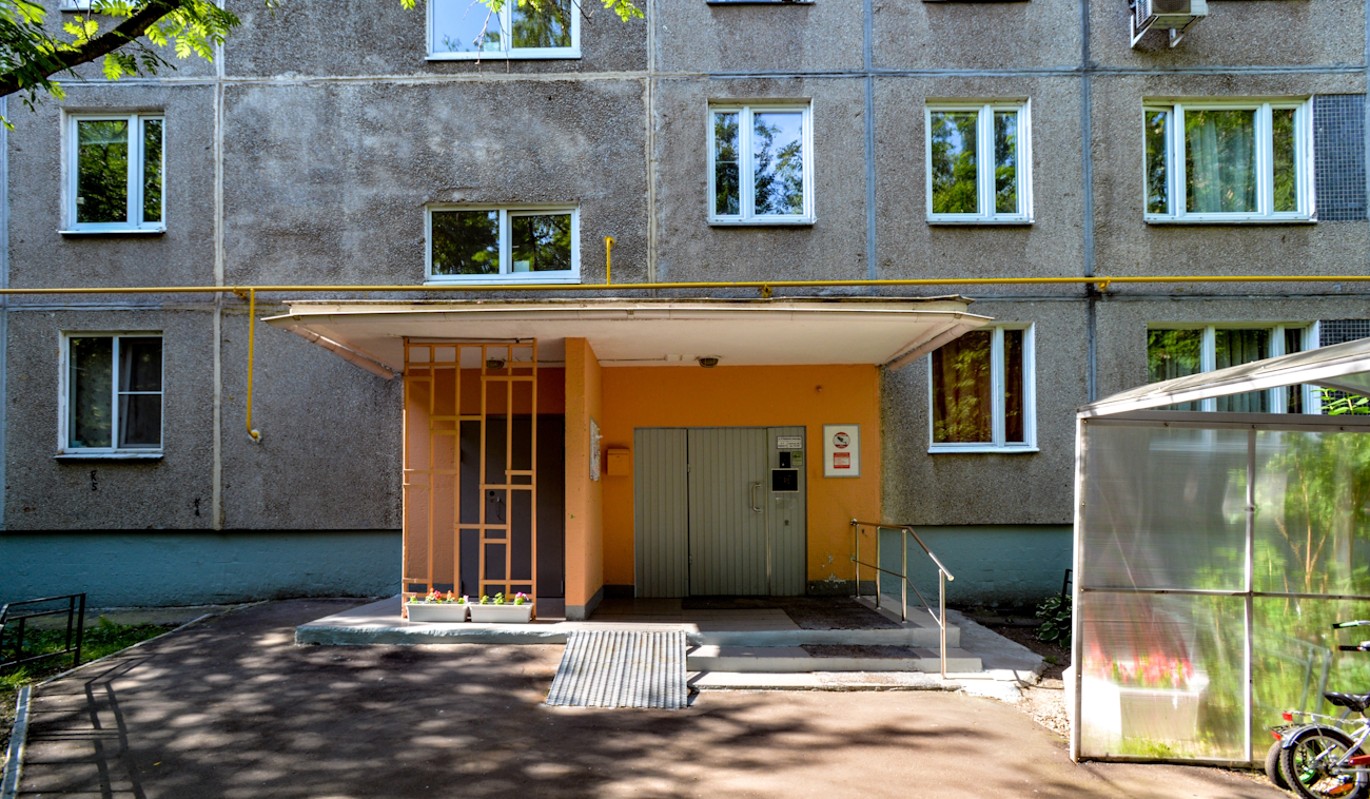Что посадить около подъезда: украшаем городскую недвижимость