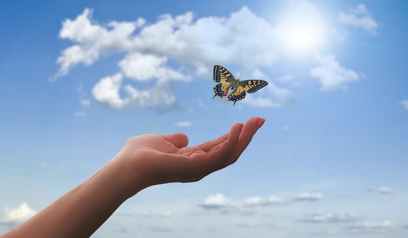 Практика прощения: как научиться прощать себя и других за совершенные ошибки?