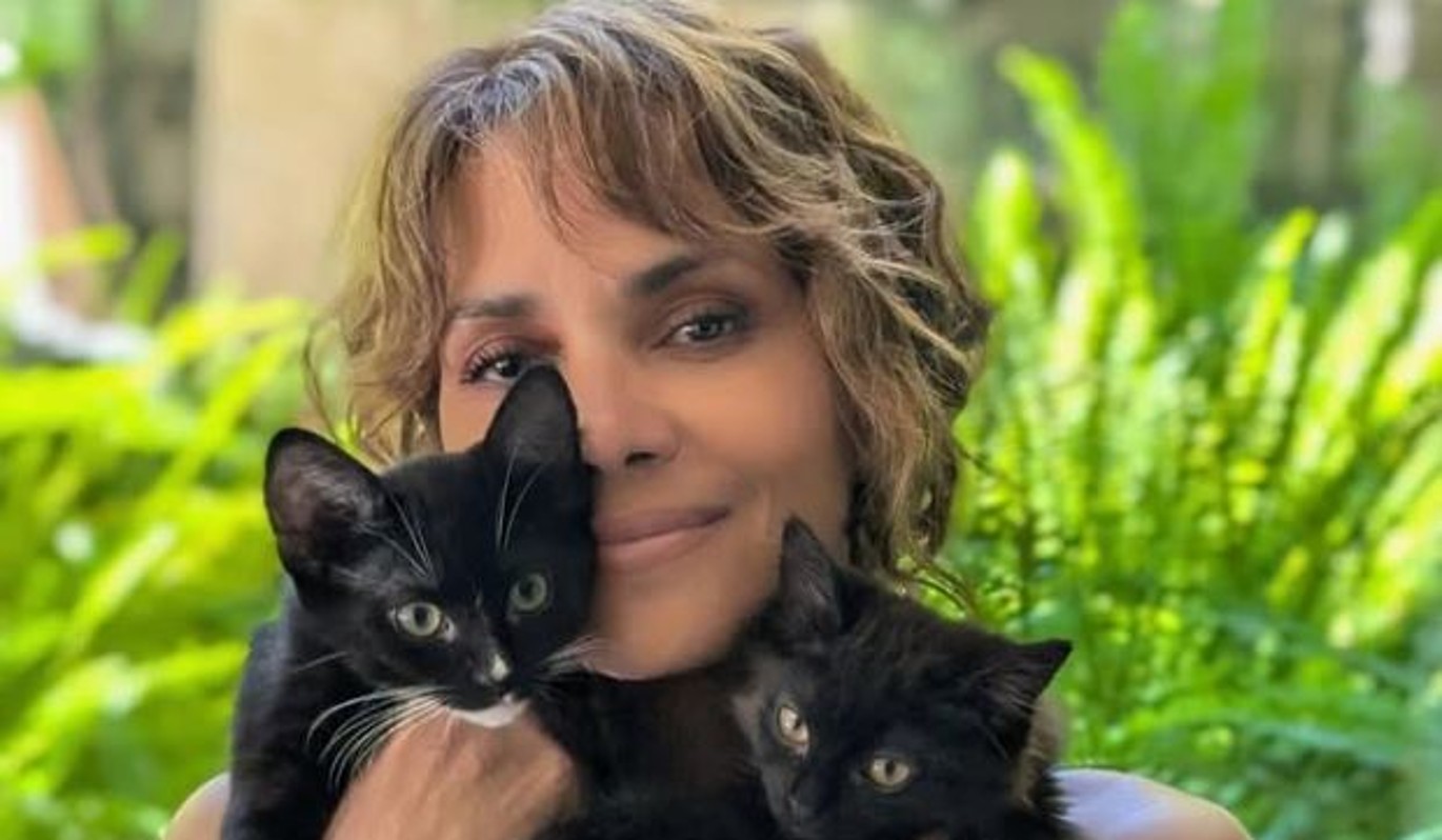 Голливудской актрисе и режиссеру Холли Берри поступило предложение руки и сердца