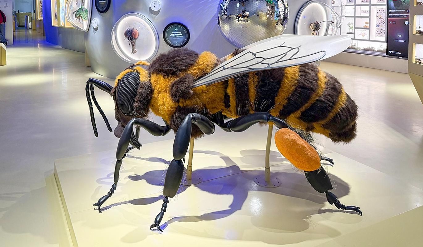 Обновленный павильон "Пчеловодство" открывает двери в удивительный мир насекомых