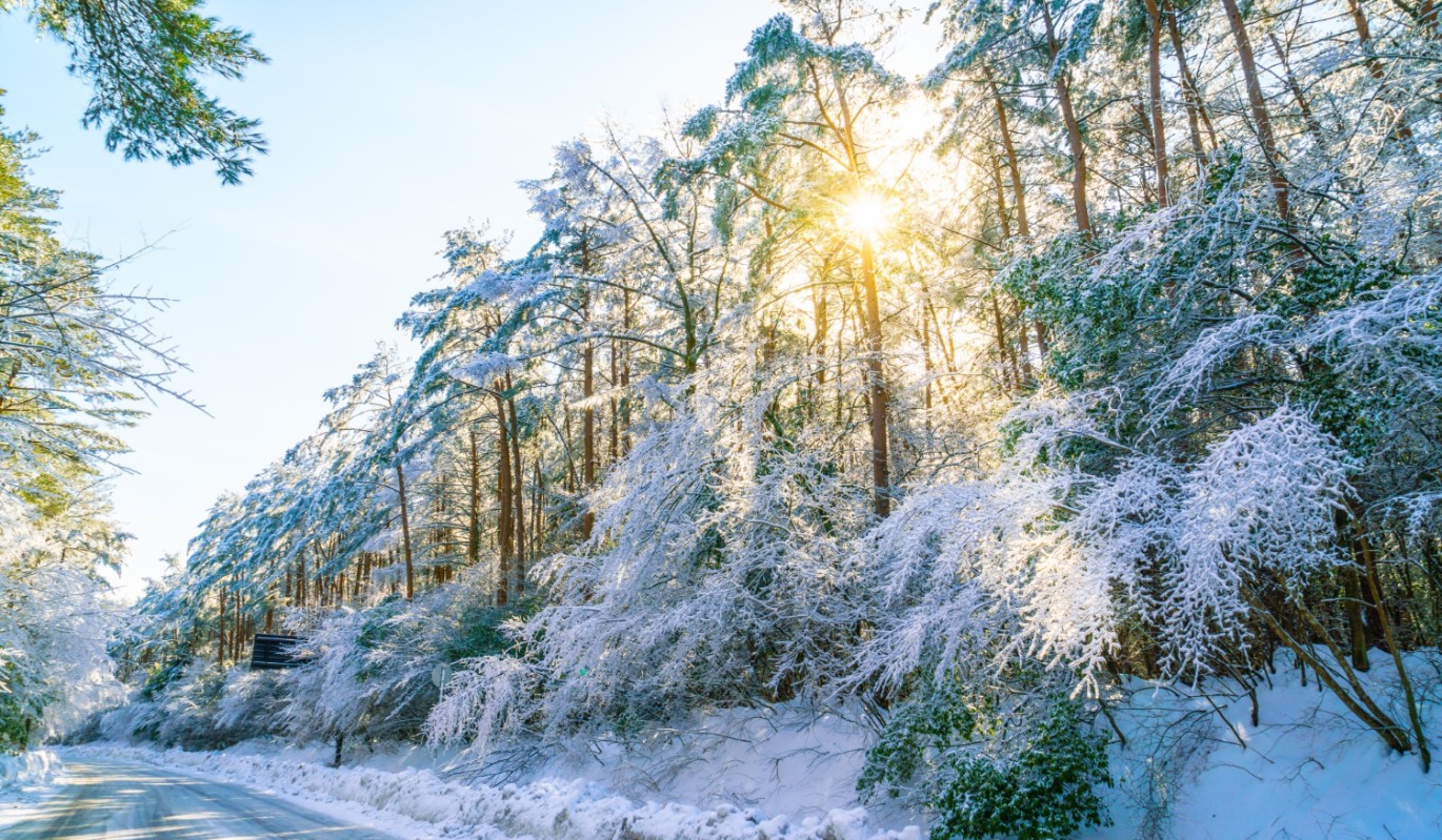 Впустите в дом неприятный запах: странный ритуал 24 января, который спасал наших предков от беды