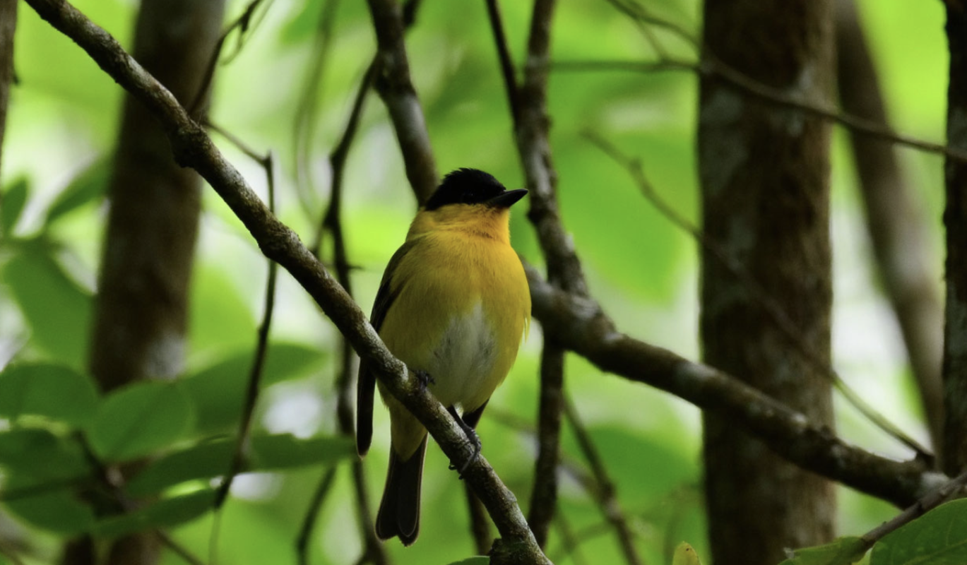 "Черное под запретом": почему 3 марта темная одежда может разрушить ваше будущее
