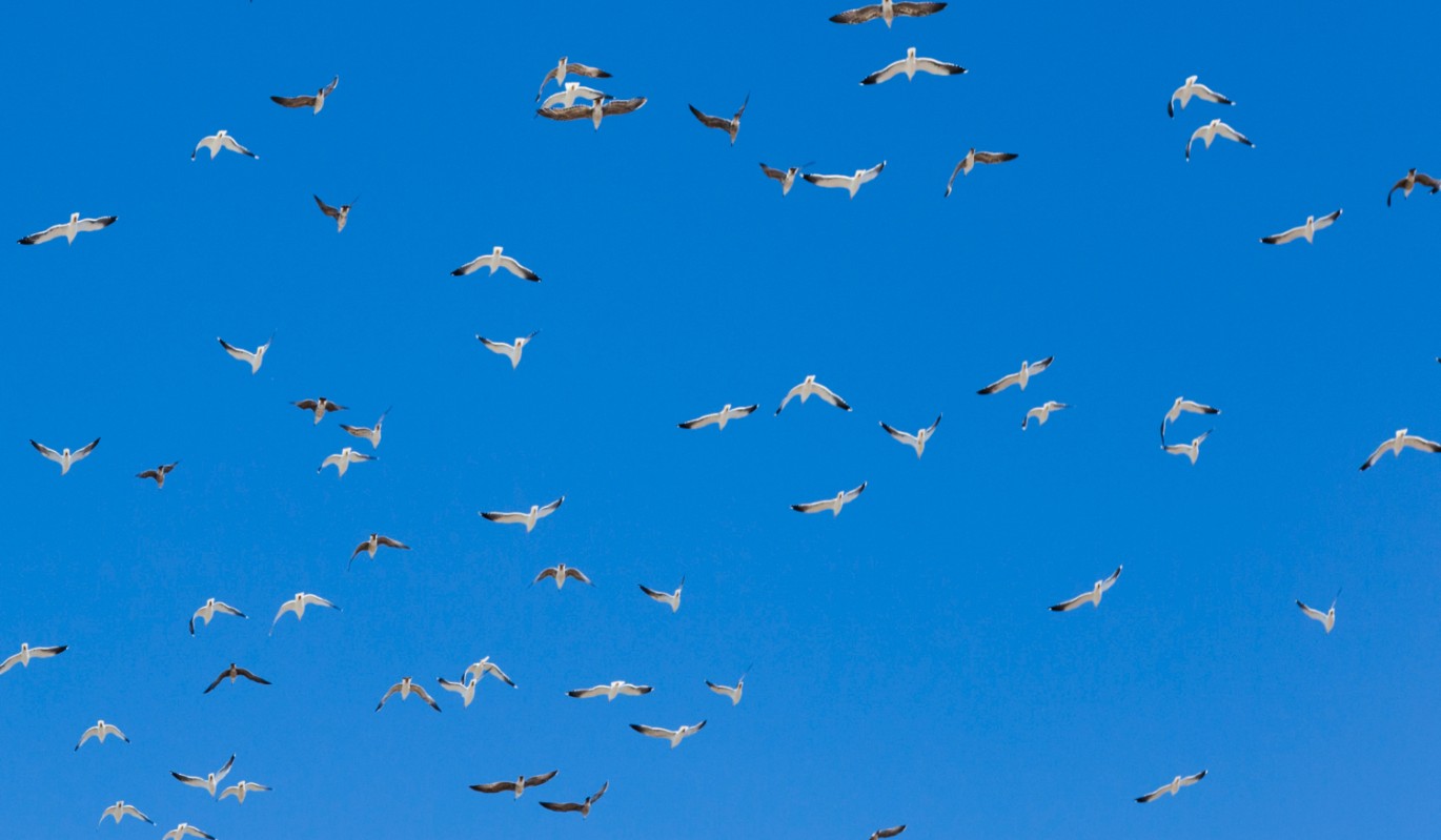 Счастье улетит бесследно: почему 7 марта категорически нельзя затевать уборку и стирку