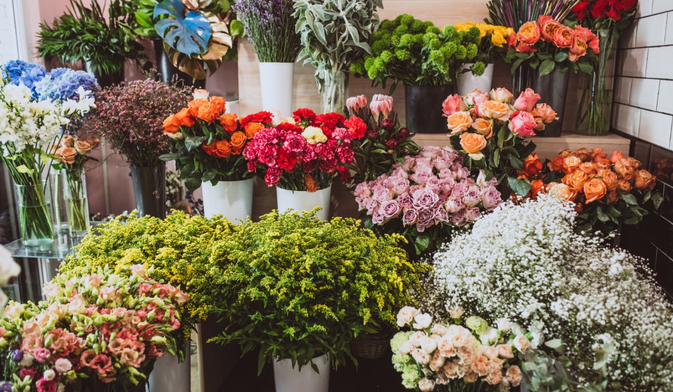 Тюльпаны по цене роз: эксперты рассказали, когда лучше всего покупать цветы к празднику