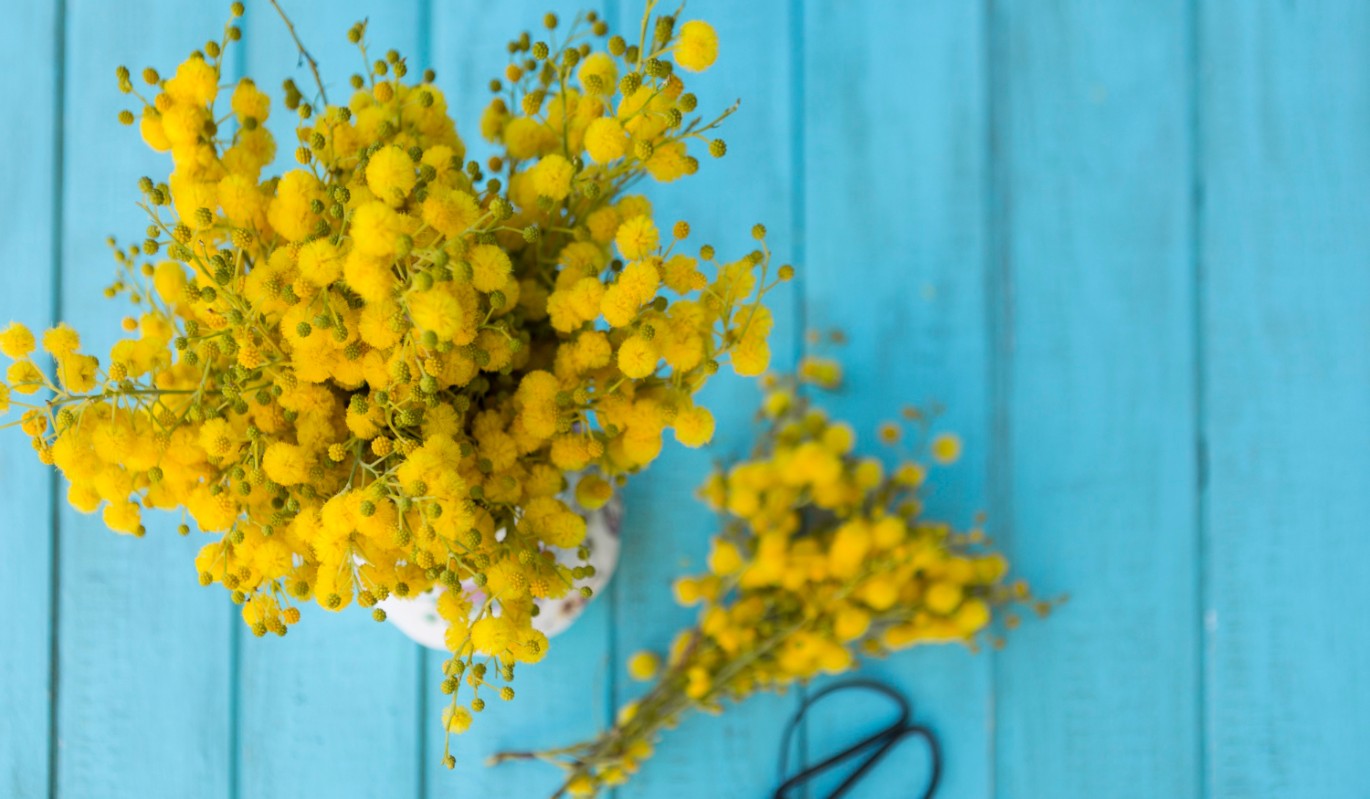 "Обман длиною в век": какую тайну о 8 марта годами скрывали от миллионов людей