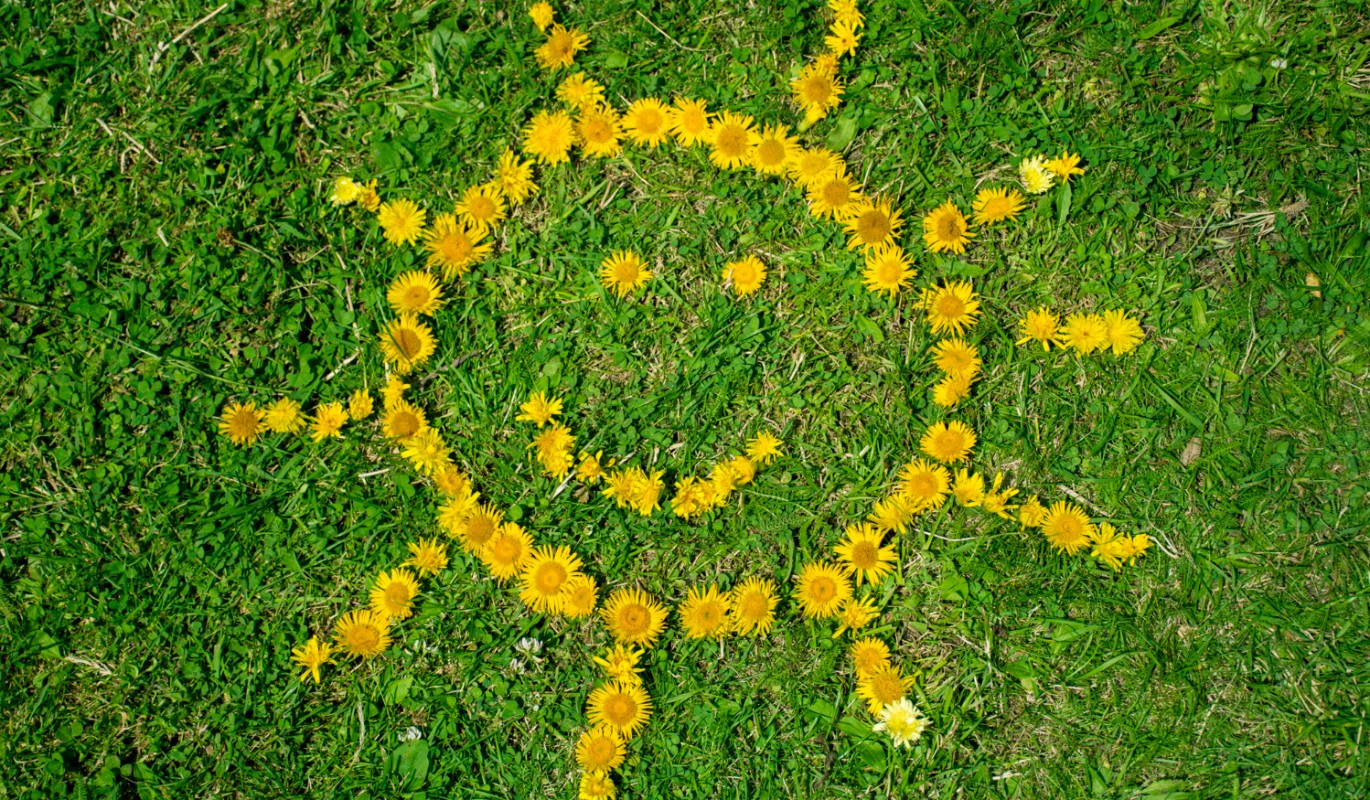 Золотой цветок удачи: почему 31 марта – лучший день, чтобы начать новую жизнь