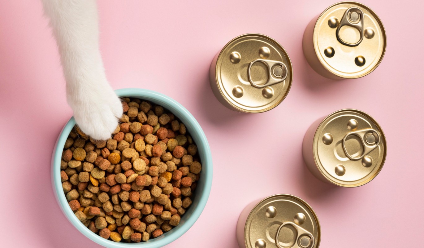 Стартовала битва кормов для кошек: решается судьба 9 премиум-брендов