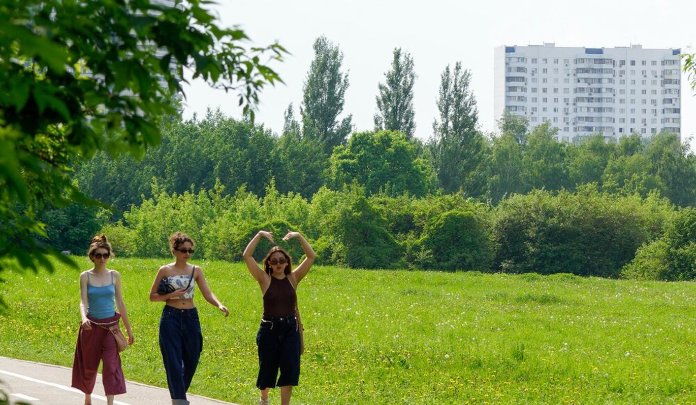 В Москве за ущерб природе оштрафовали более 200 должностных и юридических лиц