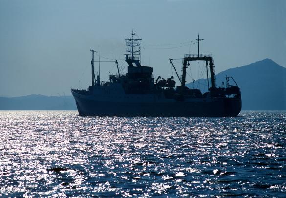 Как спасти рыболовецкую отрасль России