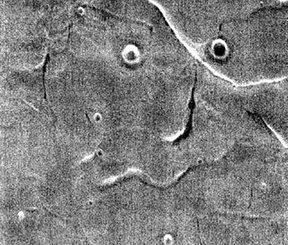 Фото: jpl.nasa.gov