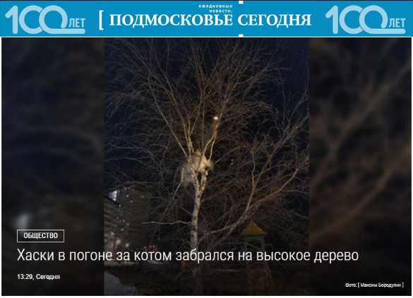 Фото: mosregtoday.ru