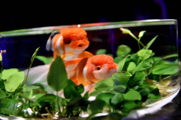 Фото: GLOBAL LOOK press/Piaggesi