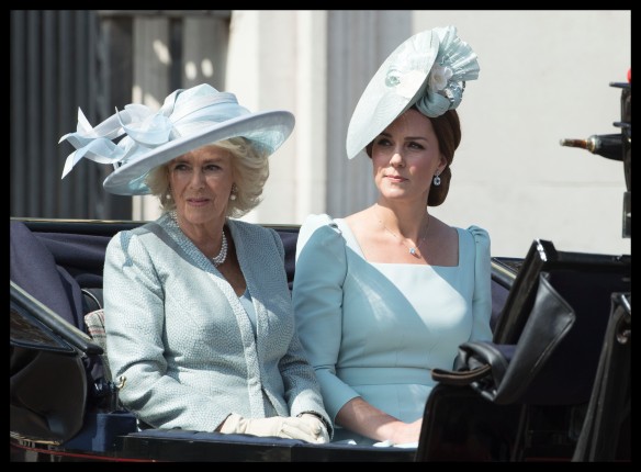 Камилла и Кейт Миддлтон. Фото: GLOBAL LOOK press/Stephen Lock