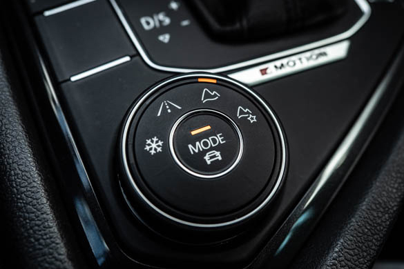 Фото: Родион Газманов