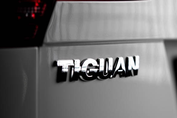 Фото: Родион Газманов