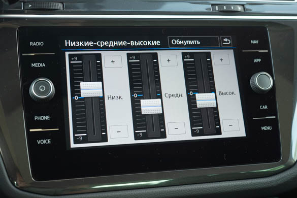 Фото: Родион Газманов